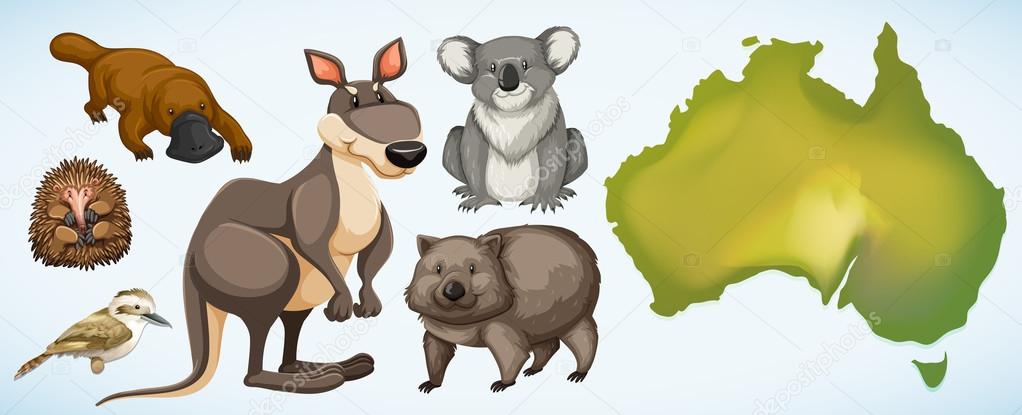 Different wild animals in Australia