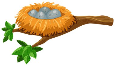 Kuş yuvası dört yumurta