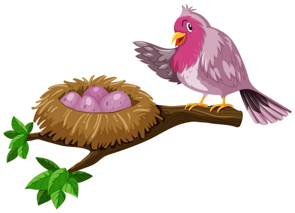Πουλί και πουλί φωλιά με αυγά — Διανυσματικό Αρχείο