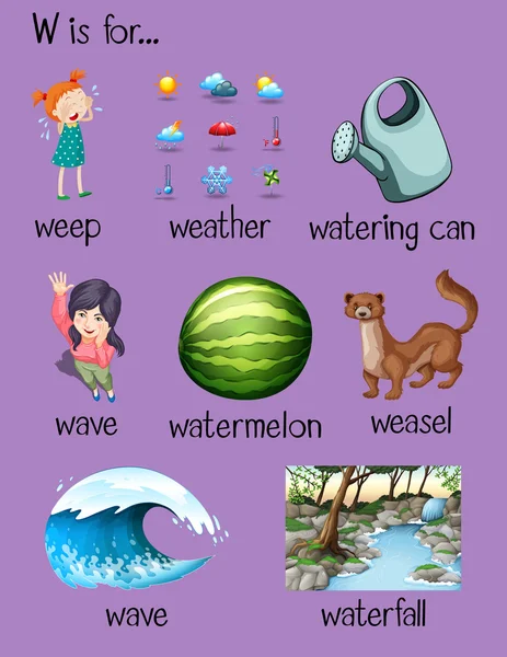 Birçok kelime M harfiyle başlayan | Vektörel çizim ©blueringmedia