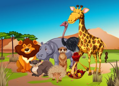 Çim alanda birçok hayvan