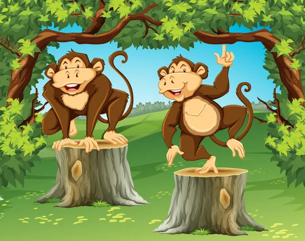 Két majmok a dzsungelben — Stock Vector