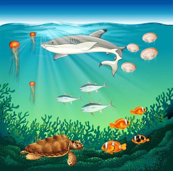 Mořští živočichové, plavání pod vodou — Stockový vektor