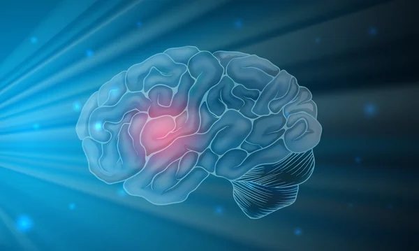 Cérebro humano com fundo azul — Vetor de Stock