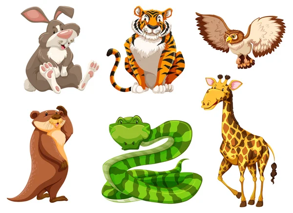 Set of different wildlife — Stock Vector