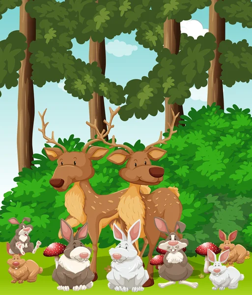 Ciervos y conejos en la selva — Vector de stock