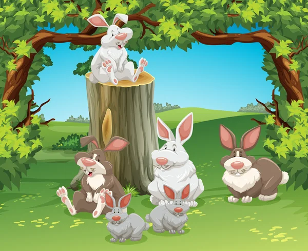 Zes konijnen in de tuin — Stockvector
