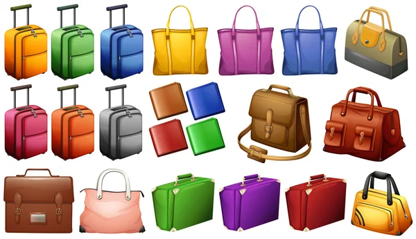 Různé typy zavazadla — Stockový vektor