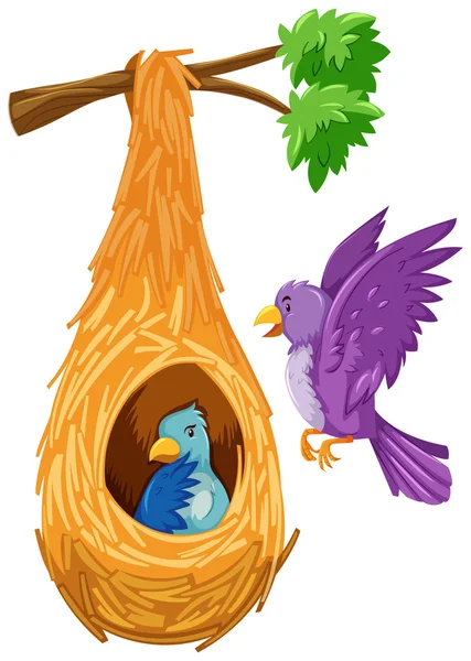 Bird in and out the nest — Stock Vector