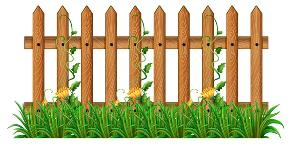 Wooden fence with vine — Stock Vector