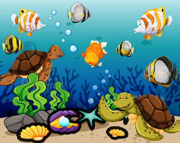 Muchos animales marinos nadando bajo el agua — Vector de stock