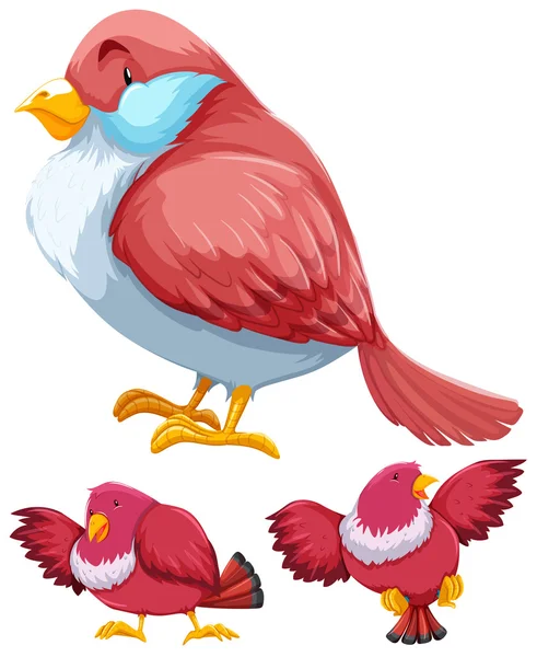 3 つのアクションでピンクの鳥 — ストックベクタ