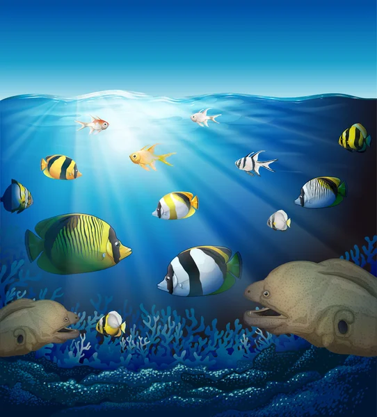 Adegan bawah air dengan ikan dan rumput laut - Stok Vektor