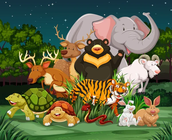 Verschillende soorten wilde dieren in het park — Stockvector