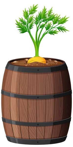 Plante Carotte Dans Pot Bois Isolé Sur Fond Blanc Illustration — Image vectorielle