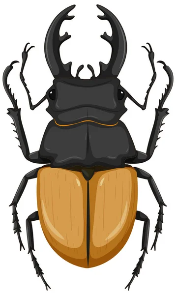 Stag Beetle Isolated White Background Illustration — Stock Vector