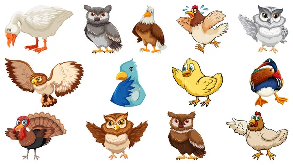 Conjunto Diferentes Aves Estilo Dibujos Animados Aislados Sobre Fondo Blanco — Vector de stock