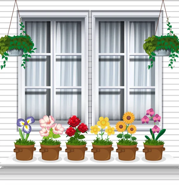 Flower Plants Window Illustration — Stock Vector