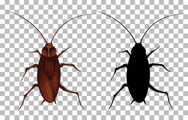 Cockroach Transparent Background Illustration — Stock Vector