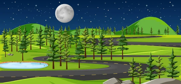 Largo Camino Naturaleza Paisaje Noche Escena Ilustración — Vector de stock