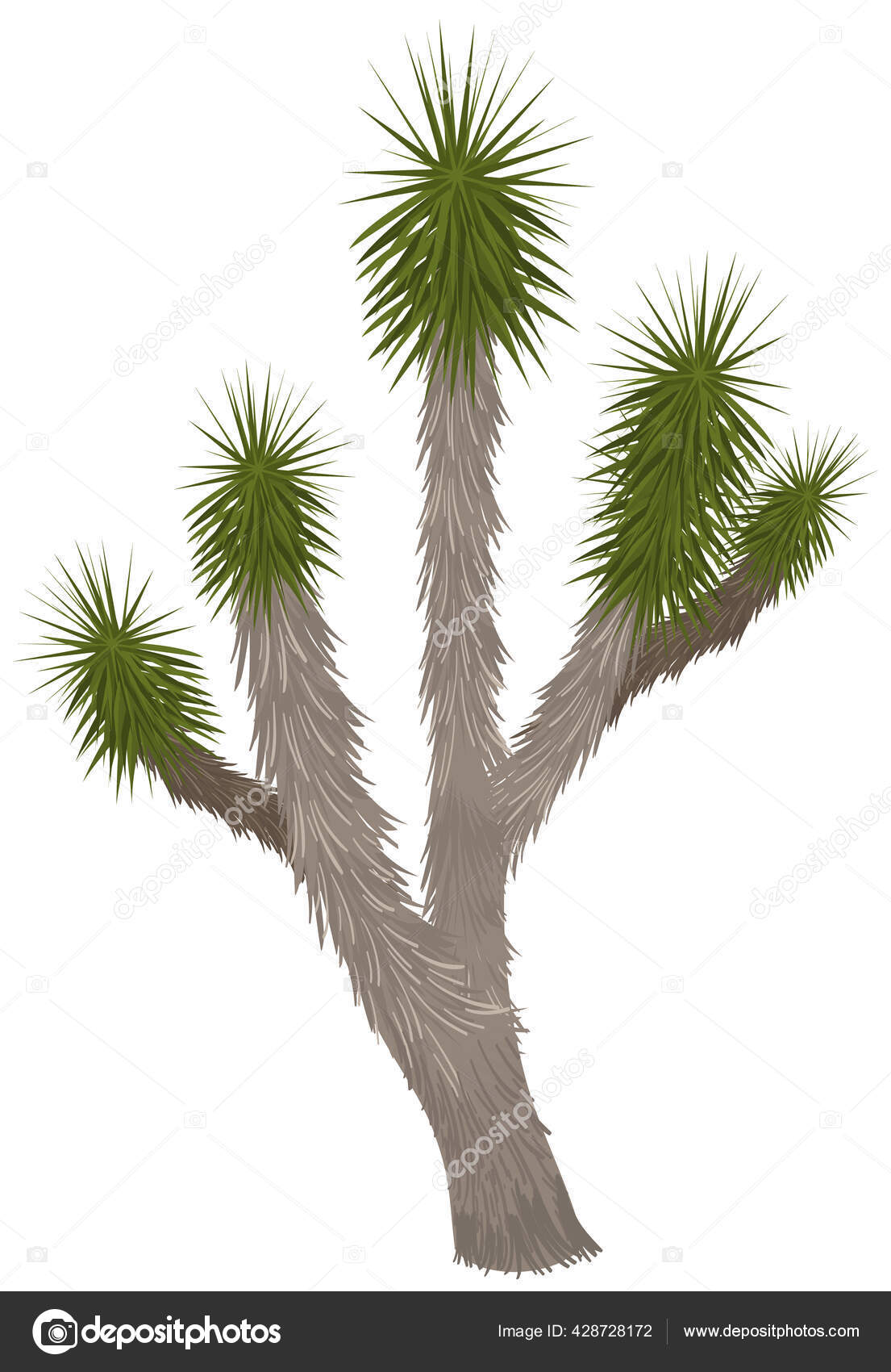 28 Joshua Tree Drawing Vector Images Joshua Tree Drawing Illustrations Depositphotos