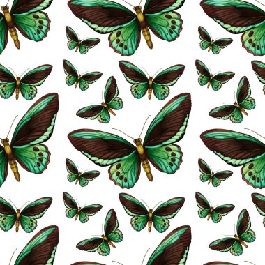 Yeşil kelebek pürüzsüz arkaplan çizimi