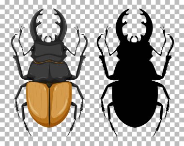 Odontolabis elegans ve silueti şeffaf arkaplan illüstrasyonunda izole edilmiş