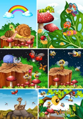 Bahçe arka planında yaşayan bir grup farklı böcek.