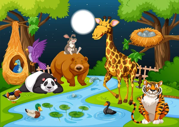 Animales Salvajes Bosque Por Noche Ilustración Escena — Vector de stock