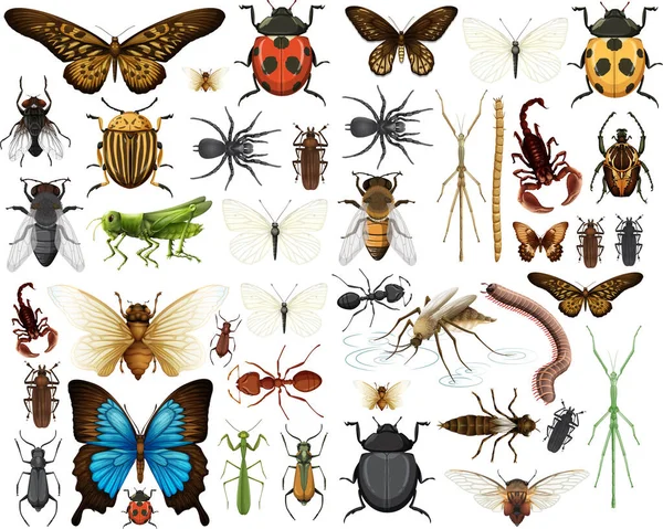 Different Insects Collection Isolated White Background Illustration — Stock Vector