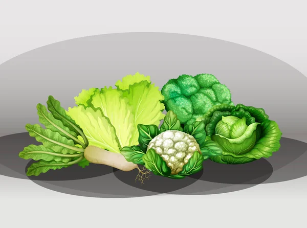 Mnoho Různých Zeleniny Skupině Ilustrace — Stockový vektor
