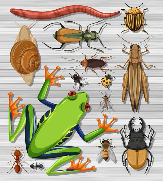 Conjunto Diferentes Insectos Sobre Fondo Transparente Ilustración — Archivo Imágenes Vectoriales