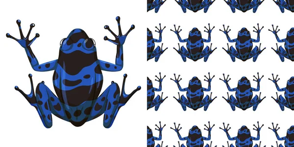 Blue Poison Dart Frog Isolated White Background Seamless Illustration — Stock Vector