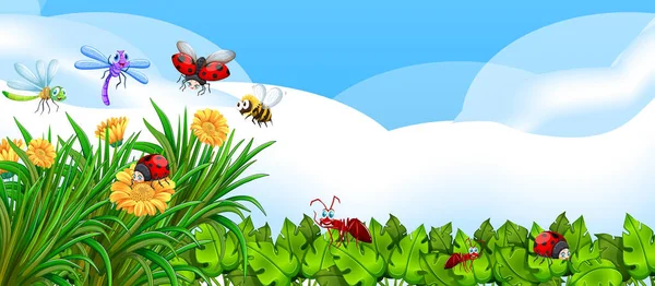 Lege Natuur Achtergrond Met Veel Verschillende Insecten Illustratie — Stockvector