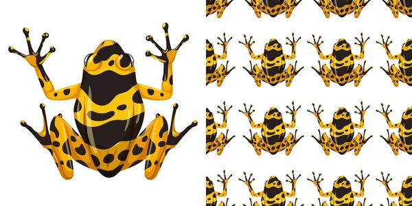 Yellow Banded Poison Dart Frog Isolated White Background Seamless Illustration — Stock Vector