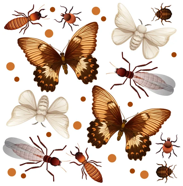 Set Van Verschillende Insecten Witte Achtergrond Illustratie — Stockvector
