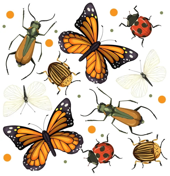 Ensemble Différents Insectes Sur Fond Blanc Illustration — Image vectorielle