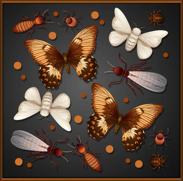 Ensemble Différents Insectes Dans Cadre Bois Illustration Fond — Image vectorielle