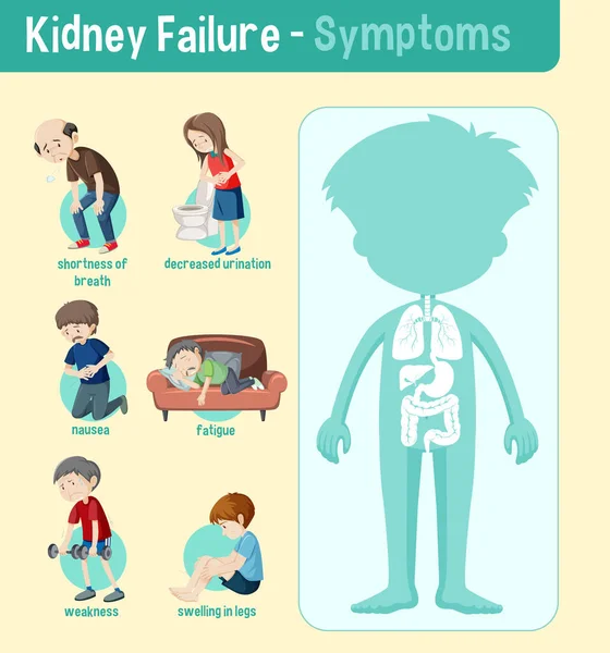 Kidney Failure Symptoms Information Infographic Illustration — Stock Vector