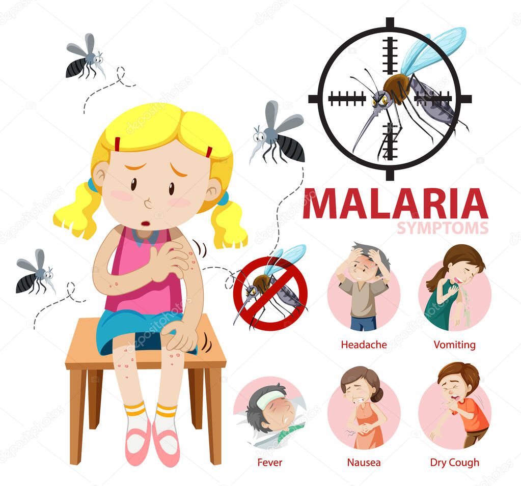 Malaria symptom information infographic illustration