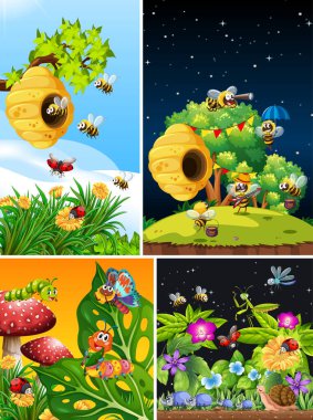 Bahçe arka planında yaşayan bir grup farklı böcek.