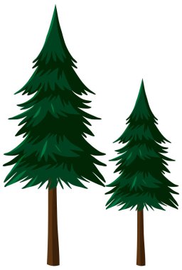 Beyaz arkaplan illüstrasyonunda izole ağaç