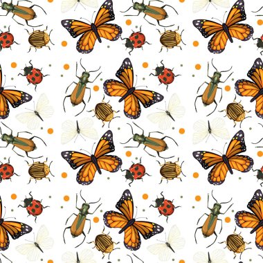 Farklı böcekler pürüzsüz desenli beyaz arkaplan resimlemesi