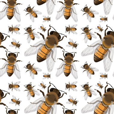 Arı böceği arkaplansız arkaplan çizimi