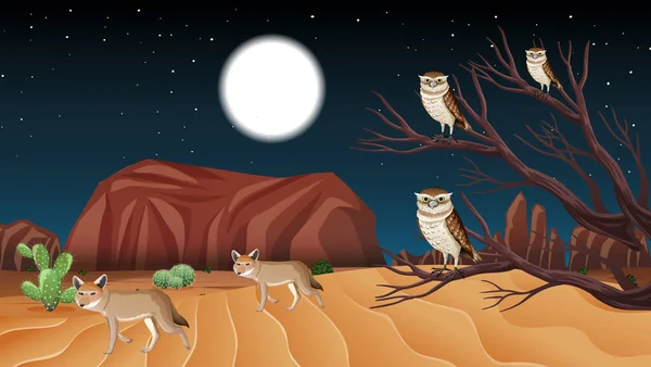 Paisaje Salvaje Del Desierto Escena Nocturna Ilustración — Archivo Imágenes Vectoriales