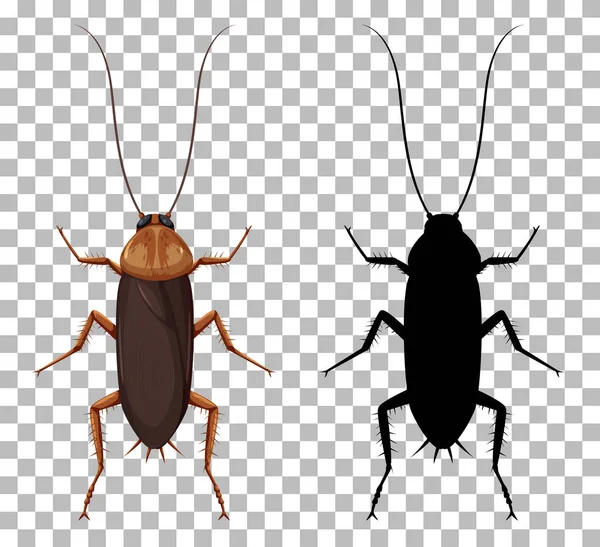 Cucaracha Con Silueta Aislada Sobre Fondo Transparente Ilustración — Vector de stock