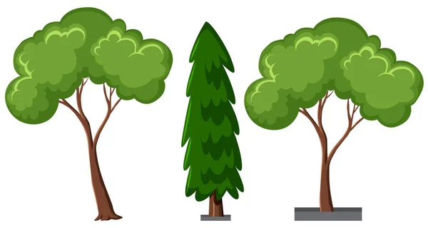 Set Diversi Alberi Isolati Sfondo Bianco Illustrazione — Vettoriale Stock