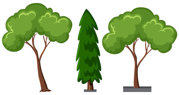 Set of different trees isolated on white background illustration