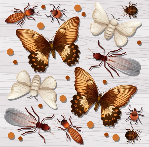 Set Van Verschillende Insecten Witte Houten Achtergrond Illustratie — Stockvector