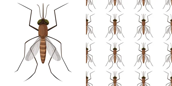 Insetos Mosquito Isolados Fundo Branco Ilustração Perfeita —  Vetores de Stock